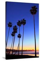 Palm trees, La Jolla Shores Beach, La Jolla, San Diego, California, United States of America, North-Richard Cummins-Stretched Canvas