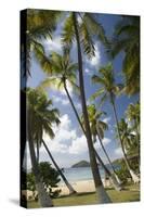 Palm Trees, Lambert Beach, Tortola, British Virgin Islands-Macduff Everton-Stretched Canvas