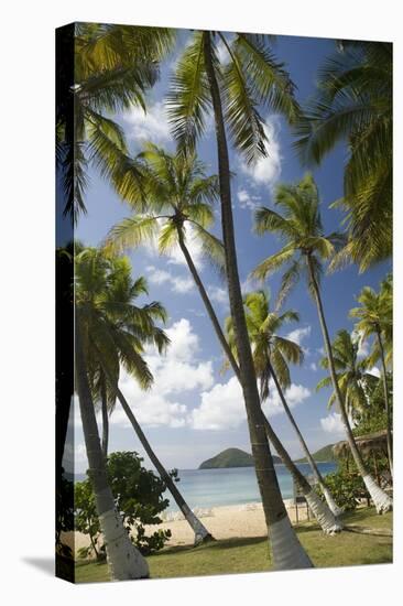 Palm Trees, Lambert Beach, Tortola, British Virgin Islands-Macduff Everton-Stretched Canvas