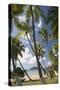 Palm Trees, Lambert Beach, Tortola, British Virgin Islands-Macduff Everton-Stretched Canvas
