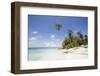 Palm trees lean over white sand, under a blue sky, on Bandos Island in The Maldives, Indian Ocean,-Stuart Forster-Framed Photographic Print