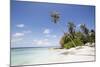 Palm trees lean over white sand, under a blue sky, on Bandos Island in The Maldives, Indian Ocean,-Stuart Forster-Mounted Photographic Print