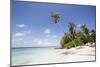 Palm trees lean over white sand, under a blue sky, on Bandos Island in The Maldives, Indian Ocean,-Stuart Forster-Mounted Photographic Print