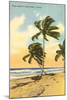 Palm Trees, Miami Beach, Florida-null-Mounted Art Print