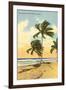 Palm Trees, Miami Beach, Florida-null-Framed Art Print