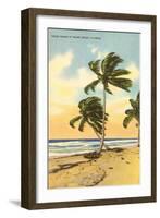 Palm Trees, Miami Beach, Florida-null-Framed Art Print