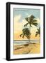 Palm Trees, Miami Beach, Florida-null-Framed Art Print