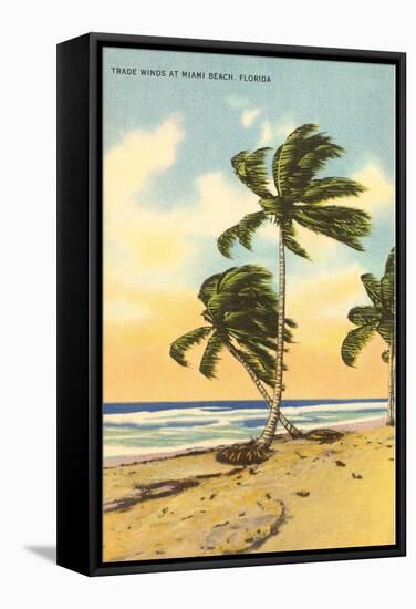 Palm Trees, Miami Beach, Florida-null-Framed Stretched Canvas