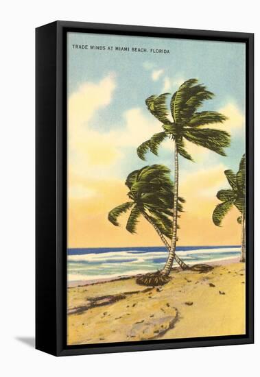 Palm Trees, Miami Beach, Florida-null-Framed Stretched Canvas