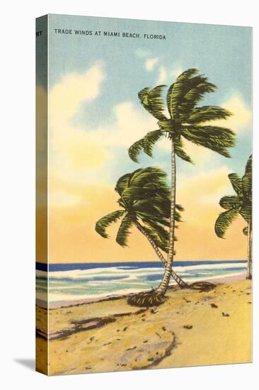 Palm Trees, Miami Beach, Florida-null-Stretched Canvas