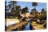 Palm Trees N Africa-null-Stretched Canvas