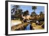 Palm Trees N Africa-null-Framed Art Print