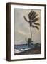 'Palm Trees, Nassau', 1898, (1932)-Winslow Homer-Framed Giclee Print