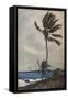 'Palm Trees, Nassau', 1898, (1932)-Winslow Homer-Framed Stretched Canvas