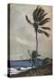 'Palm Trees, Nassau', 1898, (1932)-Winslow Homer-Stretched Canvas