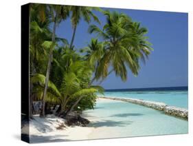 Palm Trees on a Tropical Beach in the Maldive Islands, Indian Ocean-Scholey Peter-Stretched Canvas