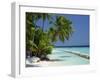 Palm Trees on a Tropical Beach in the Maldive Islands, Indian Ocean-Scholey Peter-Framed Premium Photographic Print