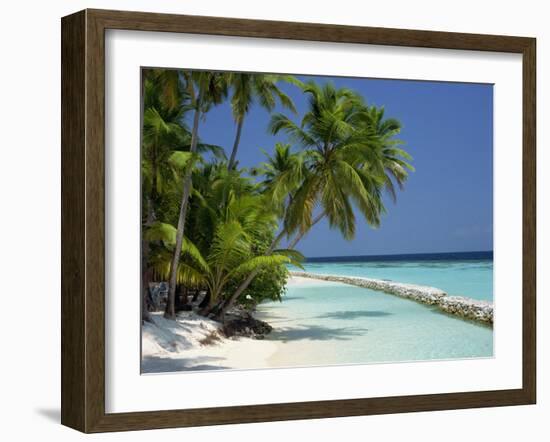 Palm Trees on a Tropical Beach in the Maldive Islands, Indian Ocean-Scholey Peter-Framed Photographic Print