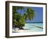 Palm Trees on a Tropical Beach in the Maldive Islands, Indian Ocean-Scholey Peter-Framed Photographic Print