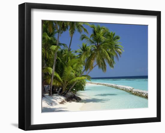 Palm Trees on a Tropical Beach in the Maldive Islands, Indian Ocean-Scholey Peter-Framed Photographic Print