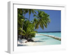 Palm Trees on a Tropical Beach in the Maldive Islands, Indian Ocean-Scholey Peter-Framed Photographic Print