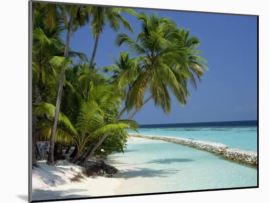 Palm Trees on a Tropical Beach in the Maldive Islands, Indian Ocean-Scholey Peter-Mounted Photographic Print