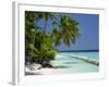 Palm Trees on a Tropical Beach in the Maldive Islands, Indian Ocean-Scholey Peter-Framed Photographic Print