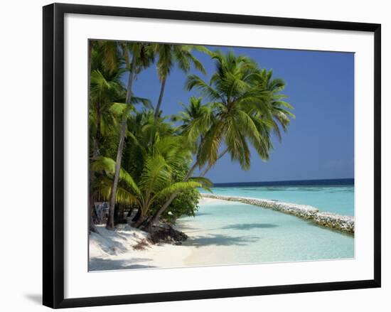 Palm Trees on a Tropical Beach in the Maldive Islands, Indian Ocean-Scholey Peter-Framed Photographic Print