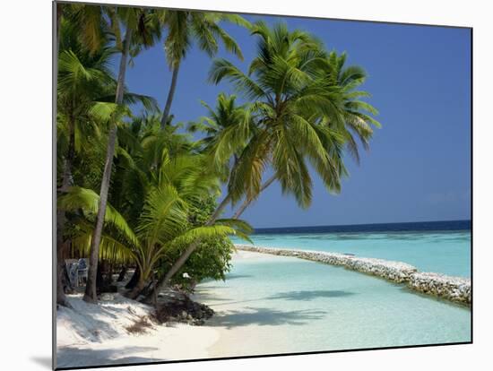 Palm Trees on a Tropical Beach in the Maldive Islands, Indian Ocean-Scholey Peter-Mounted Photographic Print