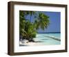 Palm Trees on a Tropical Beach in the Maldive Islands, Indian Ocean-Scholey Peter-Framed Photographic Print