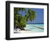 Palm Trees on a Tropical Beach in the Maldive Islands, Indian Ocean-Scholey Peter-Framed Photographic Print