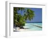 Palm Trees on a Tropical Beach in the Maldive Islands, Indian Ocean-Scholey Peter-Framed Photographic Print