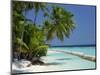 Palm Trees on a Tropical Beach in the Maldive Islands, Indian Ocean-Scholey Peter-Mounted Photographic Print