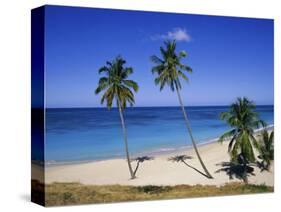 Palm Trees on Beach, Antigua, Caribbean, West Indies, Central America-Firecrest Pictures-Stretched Canvas