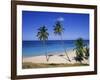 Palm Trees on Beach, Antigua, Caribbean, West Indies, Central America-Firecrest Pictures-Framed Photographic Print