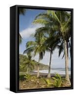 Palm Trees on Beach at Punta Islita, Nicoya Pennisula, Pacific Coast, Costa Rica, Central America-R H Productions-Framed Stretched Canvas