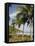 Palm Trees on Beach at Punta Islita, Nicoya Pennisula, Pacific Coast, Costa Rica, Central America-R H Productions-Framed Stretched Canvas