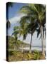 Palm Trees on Beach at Punta Islita, Nicoya Pennisula, Pacific Coast, Costa Rica, Central America-R H Productions-Stretched Canvas