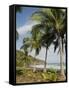 Palm Trees on Beach at Punta Islita, Nicoya Pennisula, Pacific Coast, Costa Rica, Central America-R H Productions-Framed Stretched Canvas