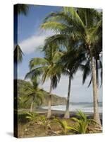 Palm Trees on Beach at Punta Islita, Nicoya Pennisula, Pacific Coast, Costa Rica, Central America-R H Productions-Stretched Canvas