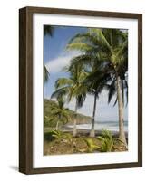 Palm Trees on Beach at Punta Islita, Nicoya Pennisula, Pacific Coast, Costa Rica, Central America-R H Productions-Framed Photographic Print