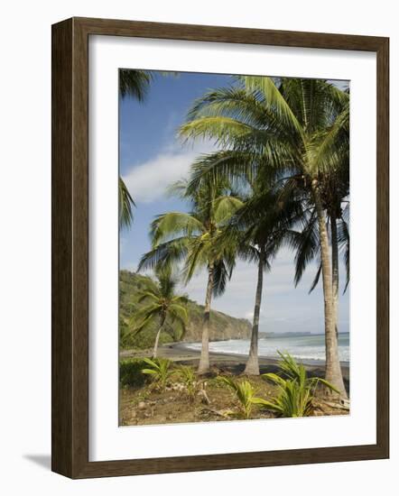 Palm Trees on Beach at Punta Islita, Nicoya Pennisula, Pacific Coast, Costa Rica, Central America-R H Productions-Framed Photographic Print