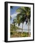 Palm Trees on Beach at Punta Islita, Nicoya Pennisula, Pacific Coast, Costa Rica, Central America-R H Productions-Framed Photographic Print