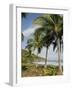 Palm Trees on Beach at Punta Islita, Nicoya Pennisula, Pacific Coast, Costa Rica, Central America-R H Productions-Framed Photographic Print