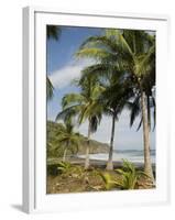 Palm Trees on Beach at Punta Islita, Nicoya Pennisula, Pacific Coast, Costa Rica, Central America-R H Productions-Framed Photographic Print