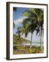 Palm Trees on Beach at Punta Islita, Nicoya Pennisula, Pacific Coast, Costa Rica, Central America-R H Productions-Framed Photographic Print