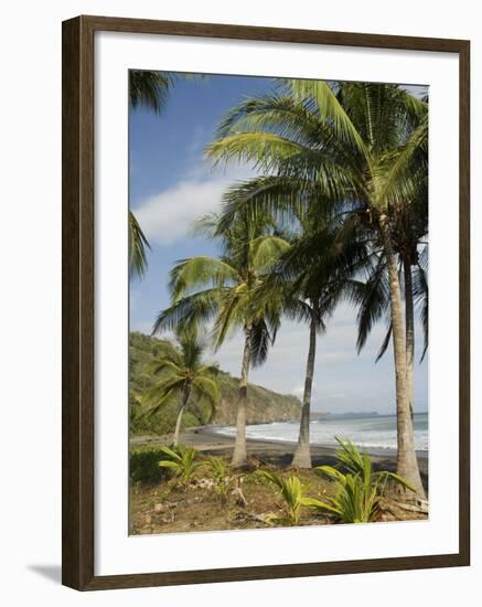 Palm Trees on Beach at Punta Islita, Nicoya Pennisula, Pacific Coast, Costa Rica, Central America-R H Productions-Framed Photographic Print