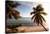 Palm Trees on Beach at Sunset, Culebra Island, Puerto Rico-null-Stretched Canvas