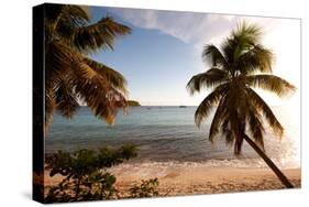 Palm Trees on Beach at Sunset, Culebra Island, Puerto Rico-null-Stretched Canvas