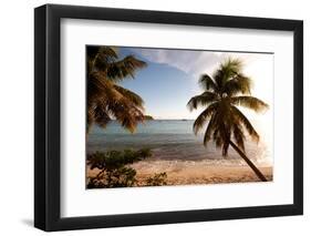 Palm Trees on Beach at Sunset, Culebra Island, Puerto Rico-null-Framed Photographic Print